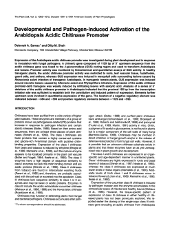 Developmental and Pathogen-lnduced Activation of the Arabidopsis