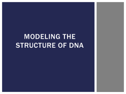 modeling the structure of dna - Mercer Island School District