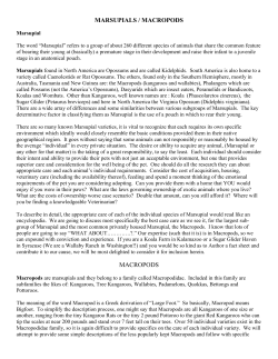 Marsupials-Macropods (Read-Only)