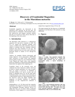 Discovery of Framboidal Magnetites in the Murchison meteorite
