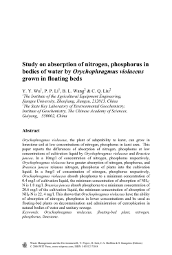 Study on absorption of nitrogen, phosphorus in bodies of water by