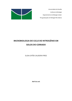 microbiologia do ciclo do nitrog&ecirc;nio em solos do cerrado