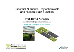 Essential Nutrients, Phytochemicals and Human Brain Function