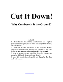 Cut It Down - Let God be True!