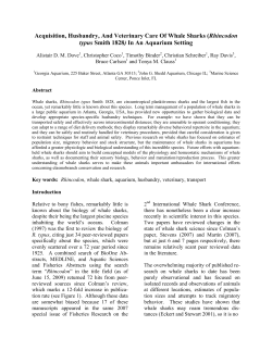 Acquisition, Husbandry, And Veterinary Care Of Whale Sharks