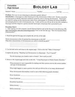 Karyotype analysis-genetic defects