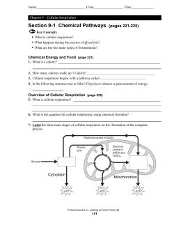 Section 9-1 Chemical Pathways (pages 221-225)