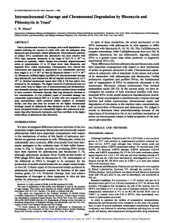 Internucleosomal Cleavage and Chromosomal