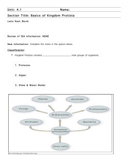 Unit: 4.1 Name: Section Title: Basics of Kingdom Protista