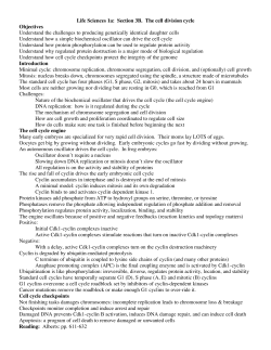 LSA 3A Cell Cycle