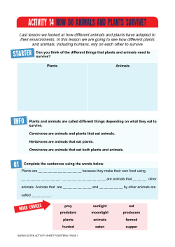 activity 14 how do animals and plants survive?