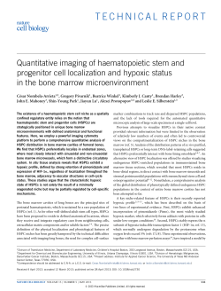 Quantitative imaging of haematopoietic stem and progenitor cell