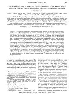 Biochemistry, 36, 10015-10025 - Research Group