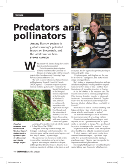 predators and pollinators predators and pollinators predators