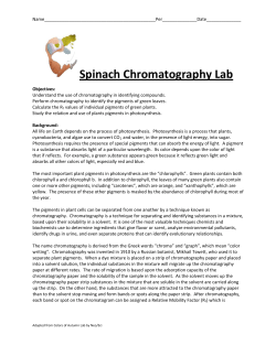 Spinach Chromatography Lab
