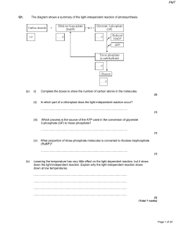 Q1. The diagram shows a summary of the light