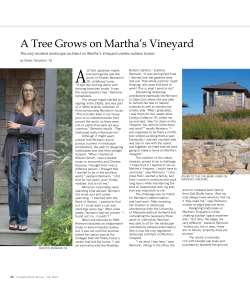 A Tree Grows on Martha`s Vineyard