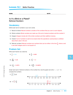 Is It a Bird or a Plane? Vocabulary Problem Set