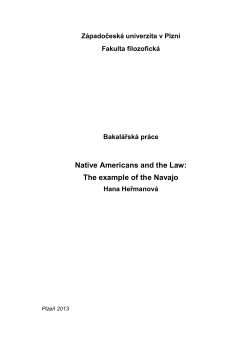 Native Americans and the Law