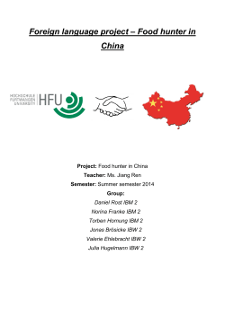 Food Hunter in China &ndash; Xian 西安市