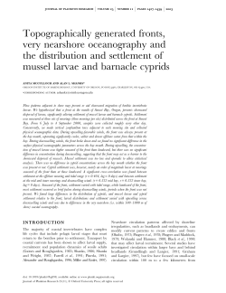 Topographically generated fronts, very nearshore