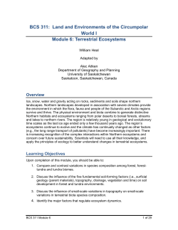 BCS311 Module 6