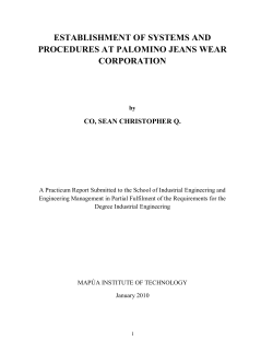 palomino jeanswear corporation - Map&uacute;a Institute of Technology
