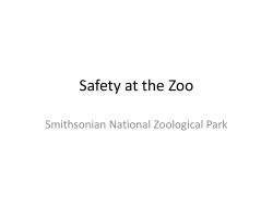 Safety at the Zoo