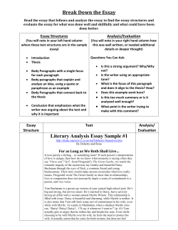 Break Down the Essay Literary Analysis Essay Sample #1