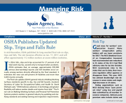 Managing Risk &ndash; Winter 2017