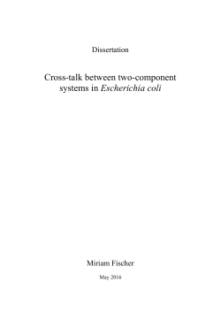 Endversion vor Checks