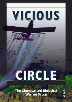 the report - Vicious circle