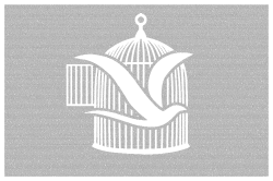 "I am reading her books and learning from her wisdom all the time