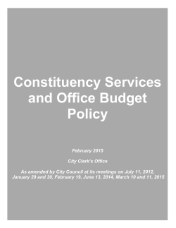 Constituency Services and Office Budget Policy