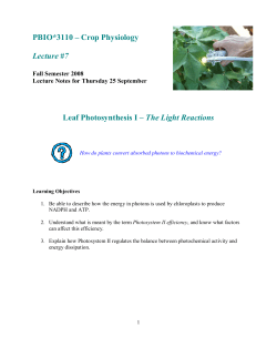 PBIO*3110 &ndash; Crop Physiology Lecture #7 Leaf Photosynthesis I