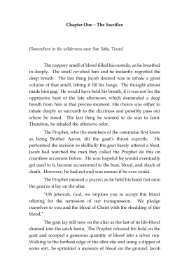 Sample A Matter of Faith - The Independent Author Network