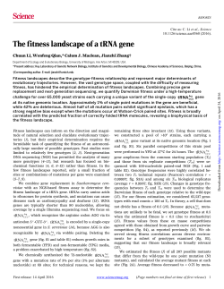 The fitness landscape of a tRNA gene