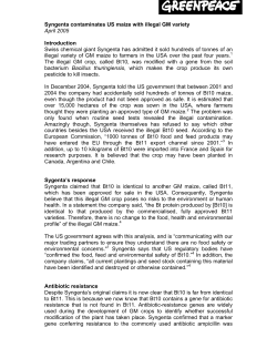 Syngenta contaminates US maize with illegal GM