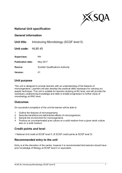 national unit specification: general information