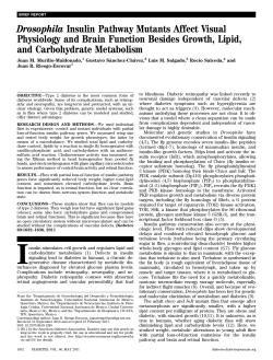 Drosophila Insulin Pathway Mutants Affect Visual