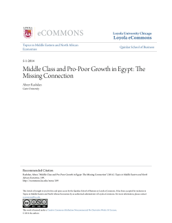 Middle Class and Pro-Poor Growth in Egypt