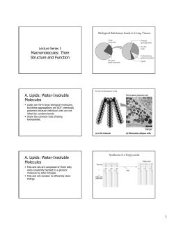 Macromolecules: Their Structure and Function A. Lipids: Water