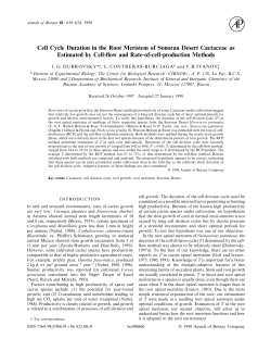 Cell Cycle Duration in the Root Meristem of