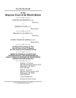 Federal Courts and International Law Professors