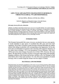 LIFE CYCLE AND ADAPTIVE COLOURATION IN MICROMATA