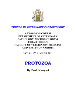 protozoa - University of Nairobi