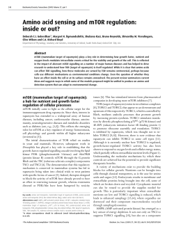 Amino acid sensing and mTOR regulation: inside or out?