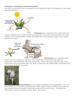 Producers, Consumers and Decomposers