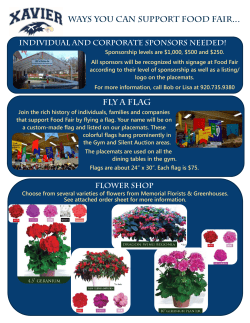 FLY A Flag Ways you can support Food Fair