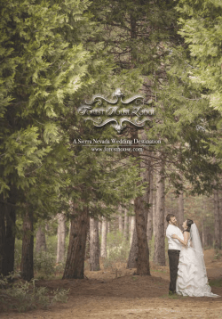 The Craft of Incredible Weddings